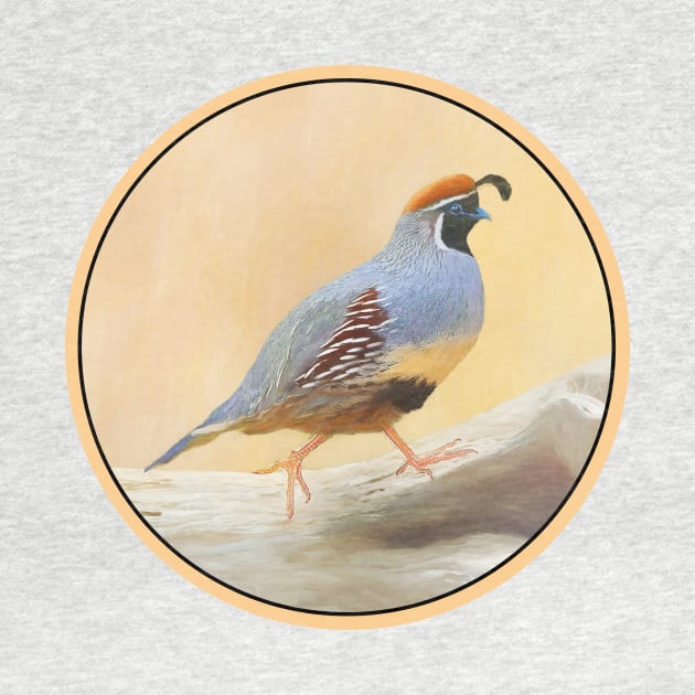 Gambrel's Quail by Alpen Designs